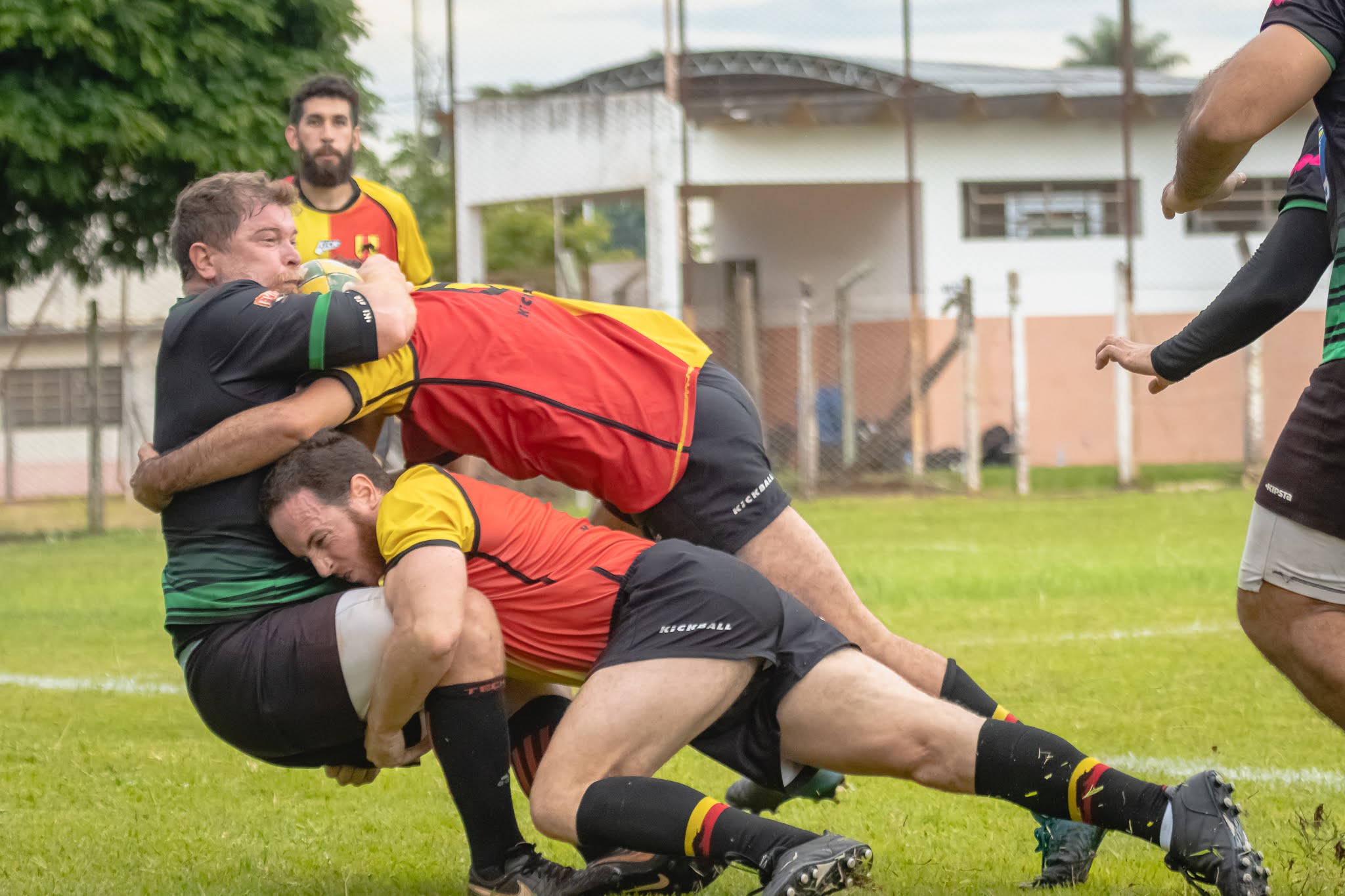 Vai começar o Campeonato Paulista Masculino de Rugby XV