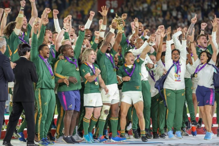 Copa do Mundo de Rugby terá Argentina e Nova Zelândia, Inglaterra e África  do Sul nas semifinais – Confederação Brasileira de Rugby