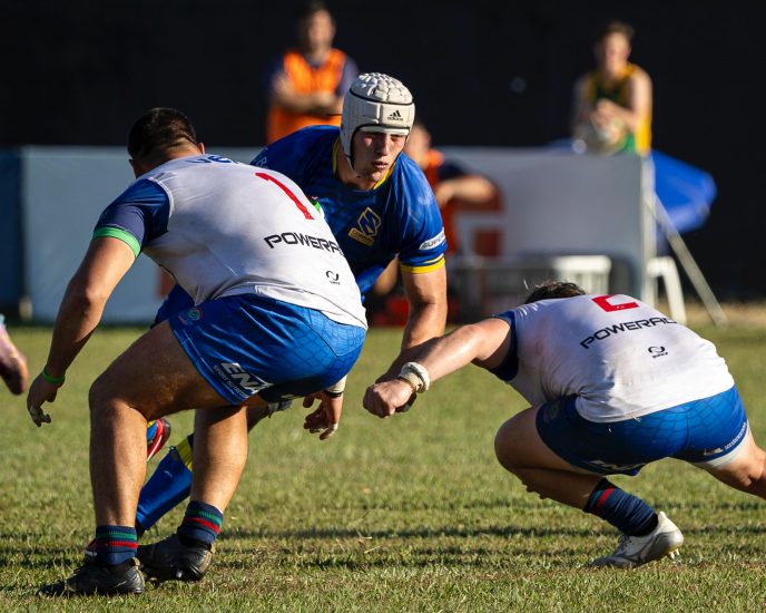 Cobras Brasil Rugby promove jogo beneficente em Jacareí em prol das vítimas das enchentes do Rio Grande do Sul