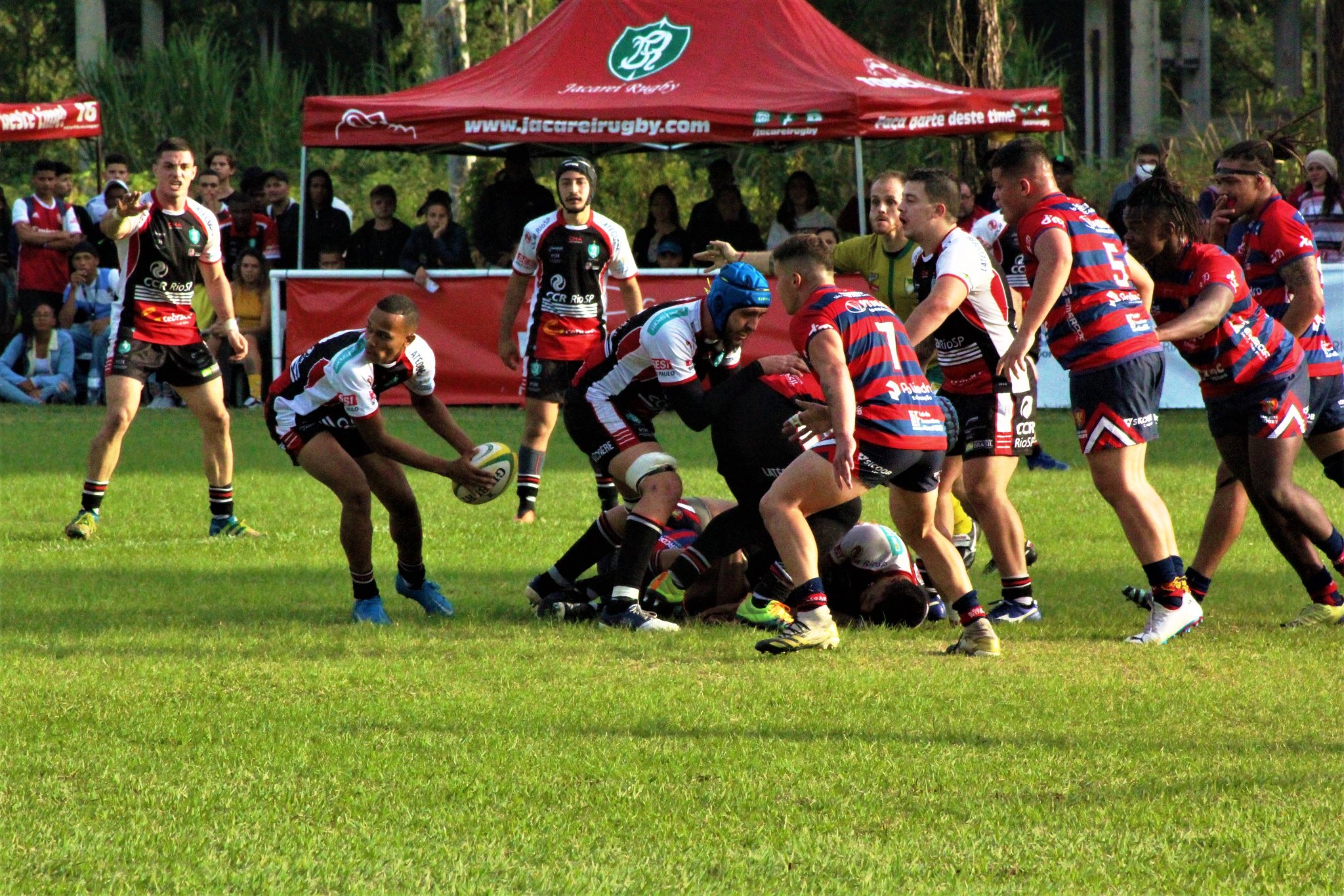 São José campeão paulista feminino de 2023 – Confederação Brasileira de  Rugby