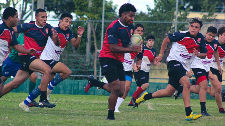 Wilton “Nelson” Rebolo se torna o primeiro brasileiro a jogar o Super Rugby  Pacific, a “NBA do rugby” – Confederação Brasileira de Rugby