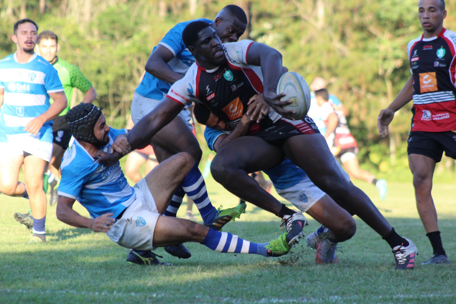 São José campeão paulista feminino de 2023 – Confederação Brasileira de  Rugby