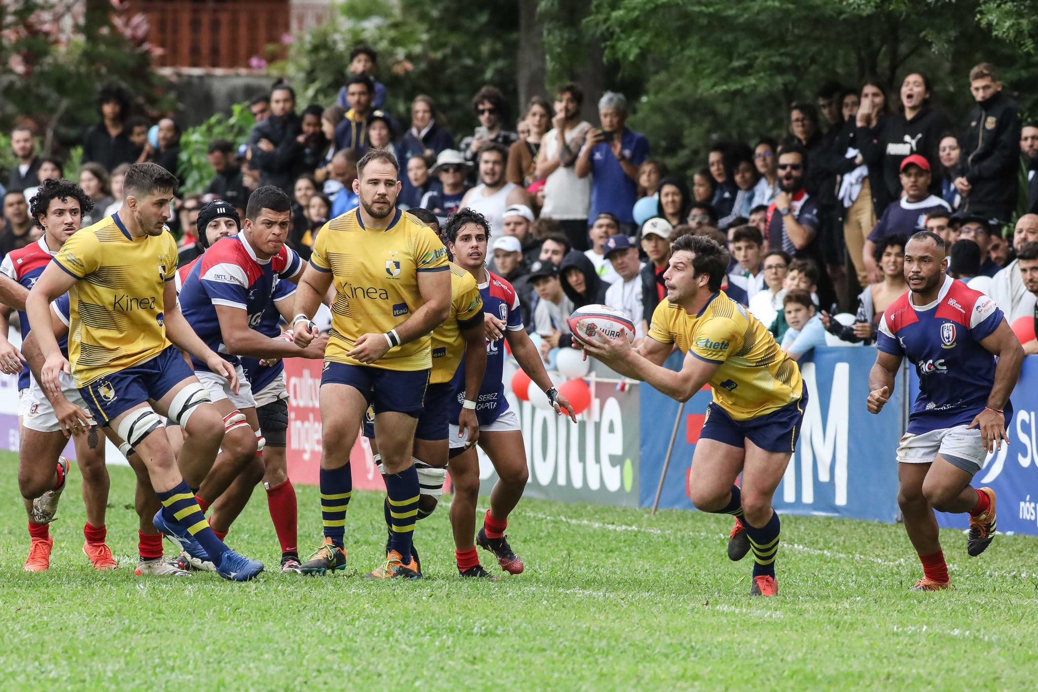 Campeonato Paulista conhecerá seu grande campeão nesse sábado: Pasteur ou Poli?